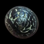 FB_IMG_1768283499781